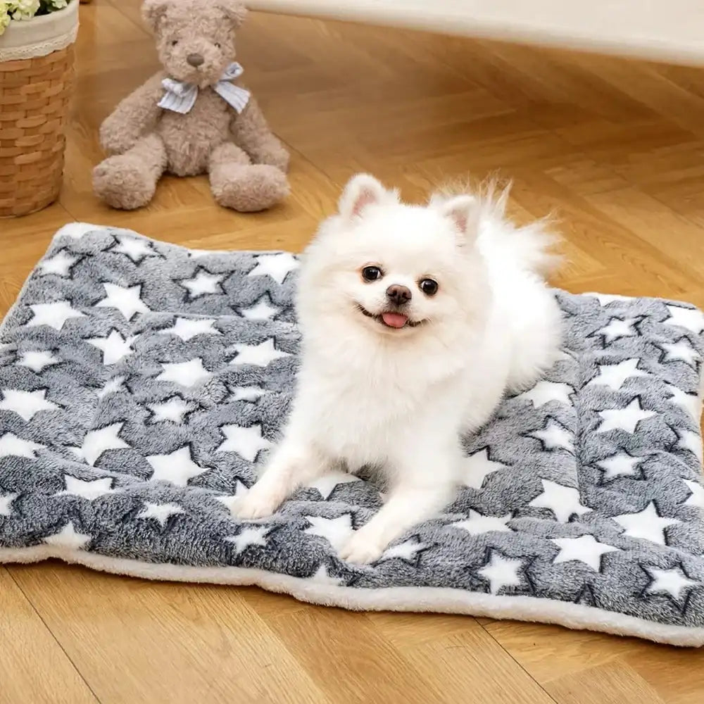 Tapis moelleux gris pour chien motifs étoiles blanches sur parquet