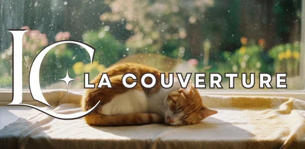 couverture pour chat rebord fenêtre soleil chat roux endormi jardin