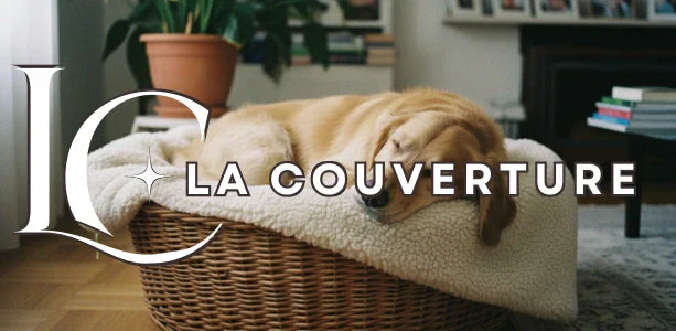 couverture pour chien panier osier salon golden retriever endormi