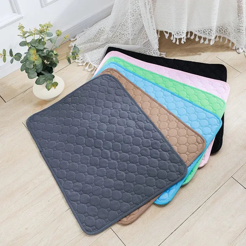 Couverture absorbante pour chien