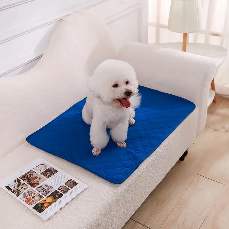 Couverture absorbante pour chien - Bleu Foncé / 45x35cm