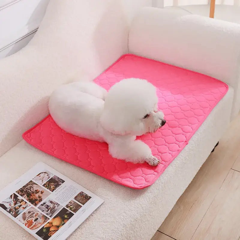 Couverture absorbante pour chien - Rose / 45x35cm