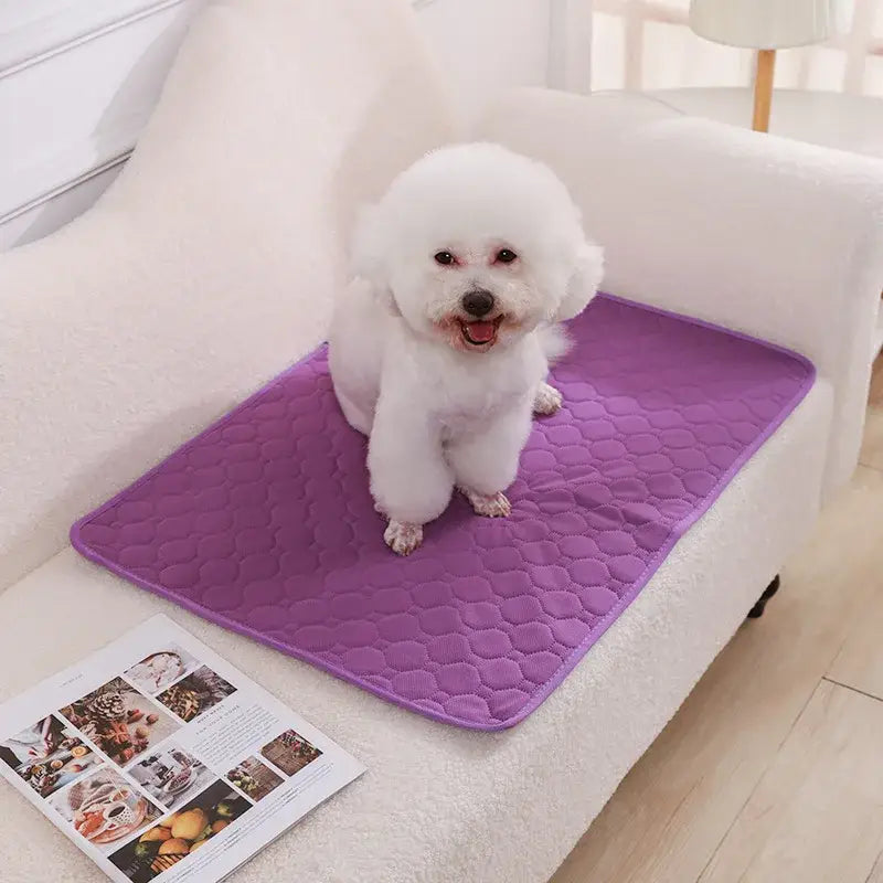 Couverture absorbante pour chien - Violet / 45x35cm
