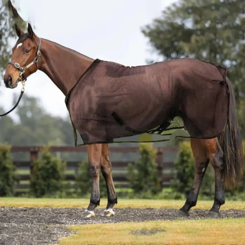 Couverture Anti Insecte Cheval