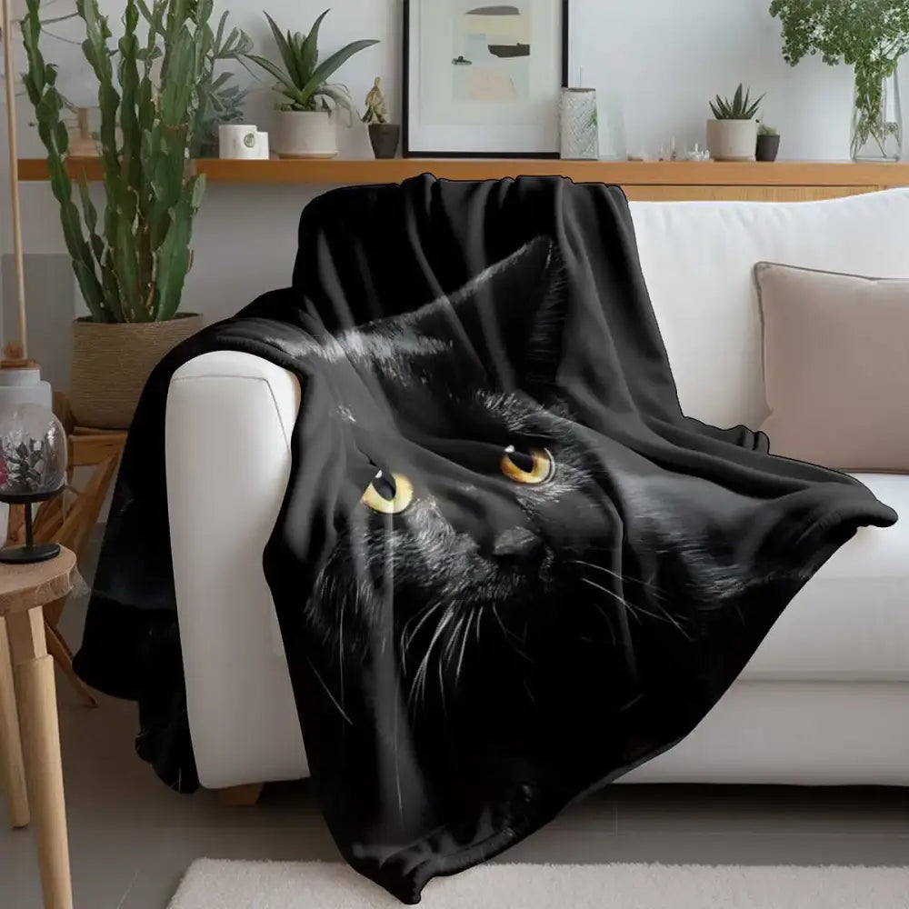 Couverture Chat Noir