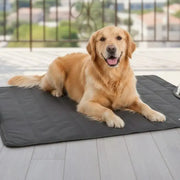 Couverture Chien Extérieur