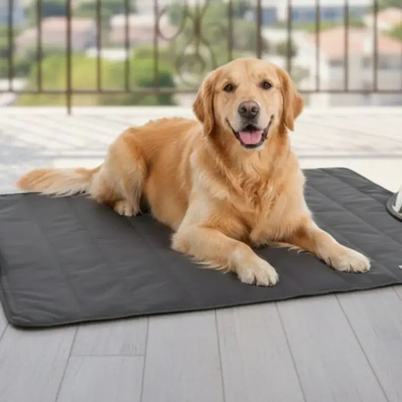 Couverture Chien Extérieur