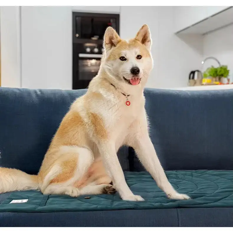 Couverture Extérieur pour Chien