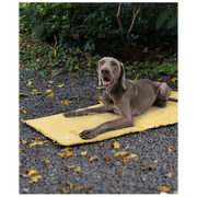 Couverture Extérieur pour Chien