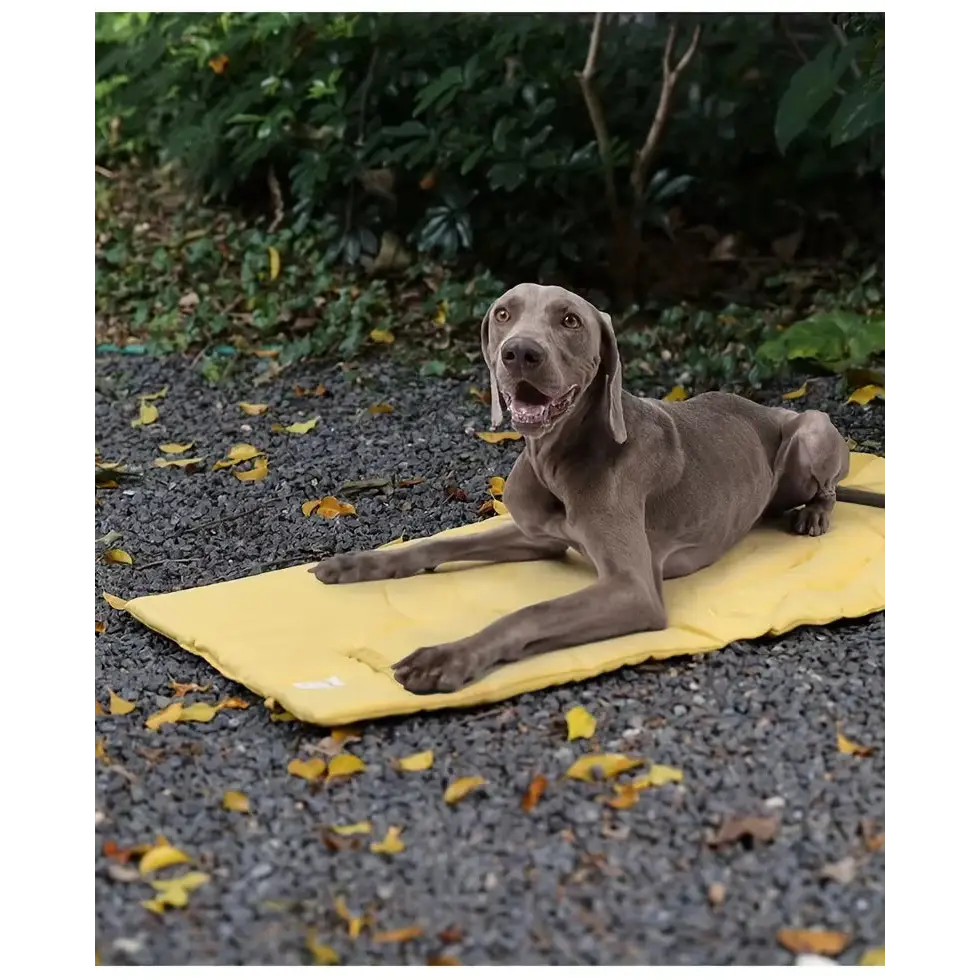 Couverture Extérieur pour Chien