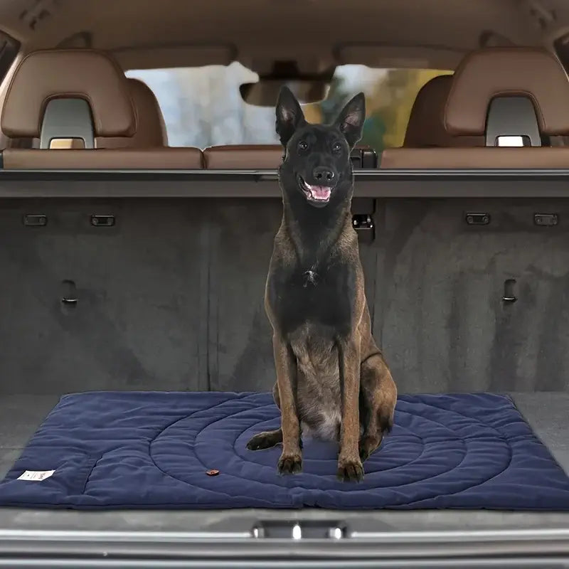 Couverture Extérieur pour Chien