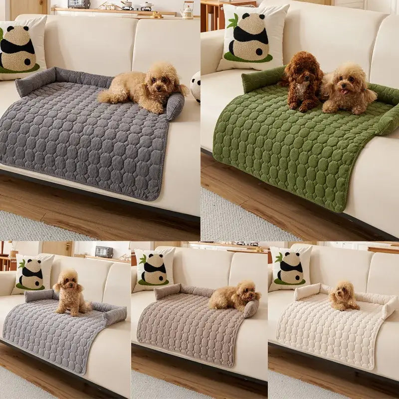 Couverture Imperméable Canapé Chien