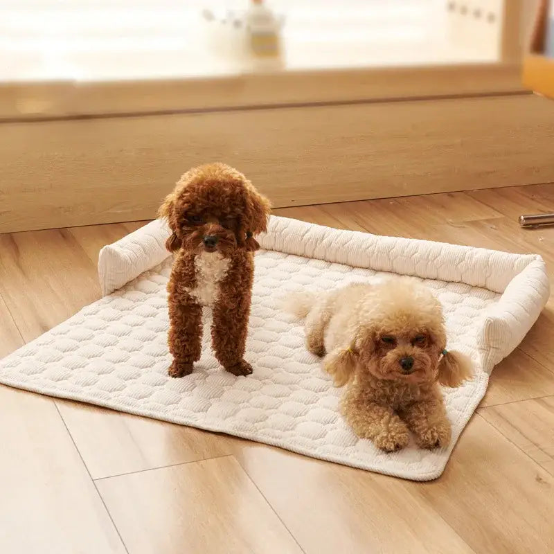 Couverture Imperméable Canapé Chien