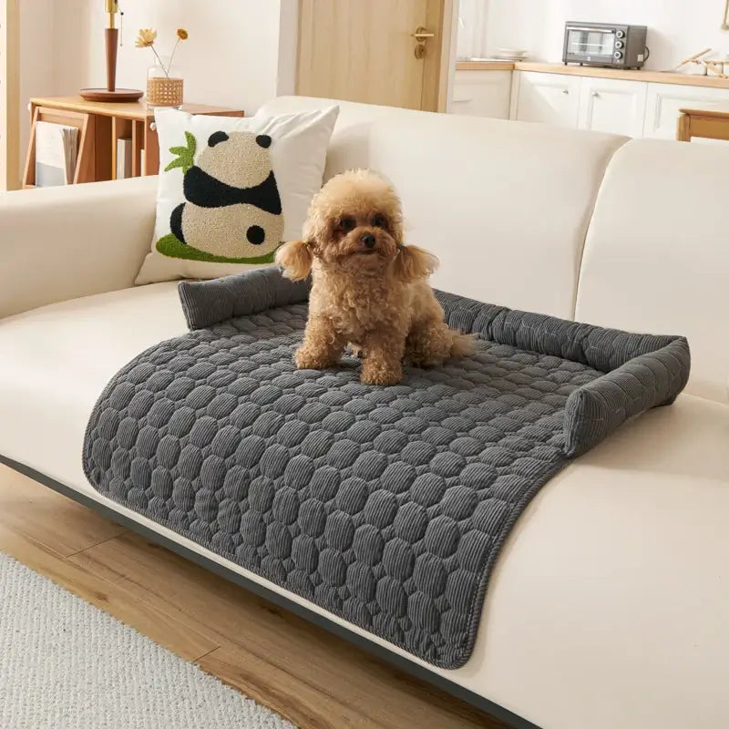 Couverture Imperméable Canapé Chien - Gris Foncé / 75x75cm