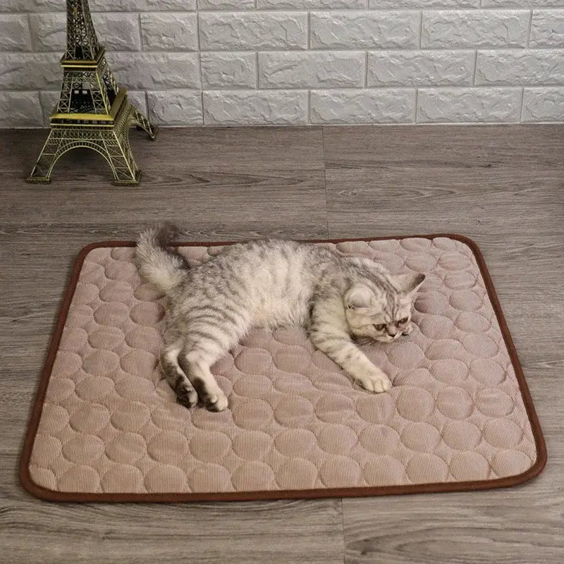 Couverture rafraichissante chat