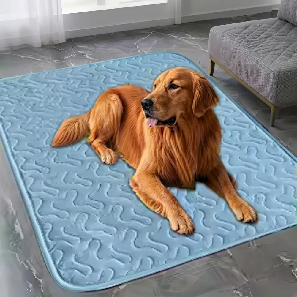 Couverture Rafraichissante pour Chien