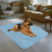 Couverture Rafraichissante pour Chien