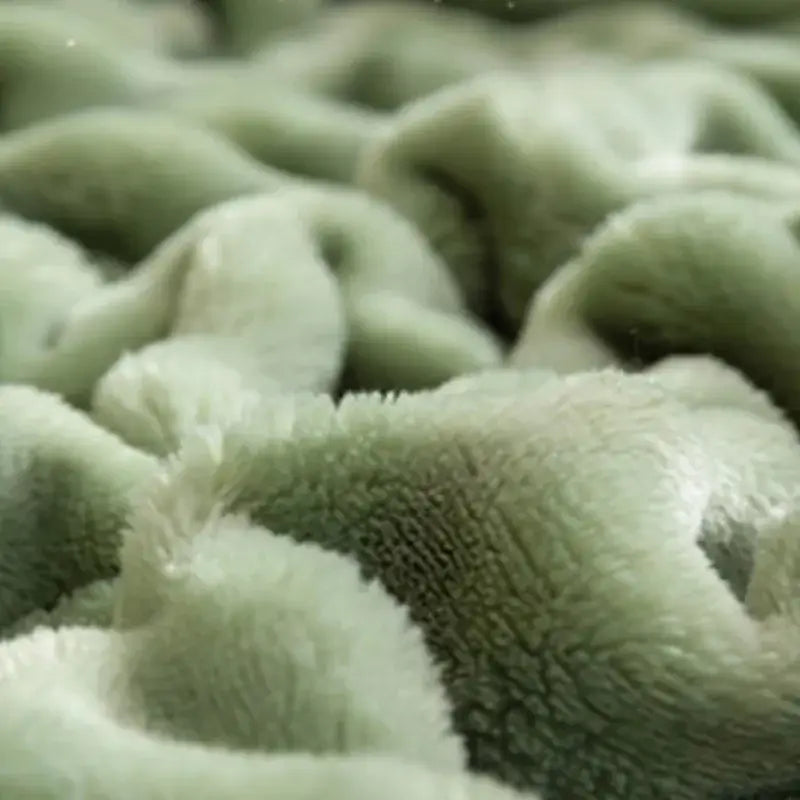 Couverture Vert Foret